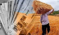 پرداخت مطالبات گندمکاران از 110 همت گذشت